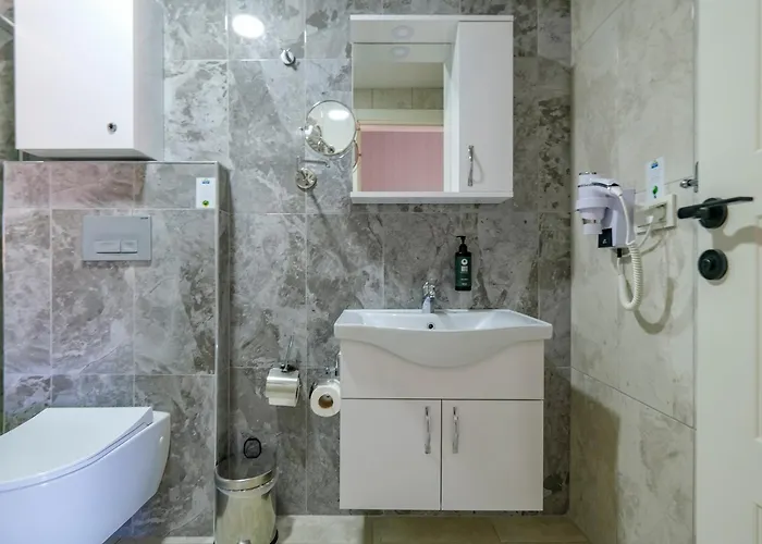 Oda (tekerlekli sandalye erişimli)